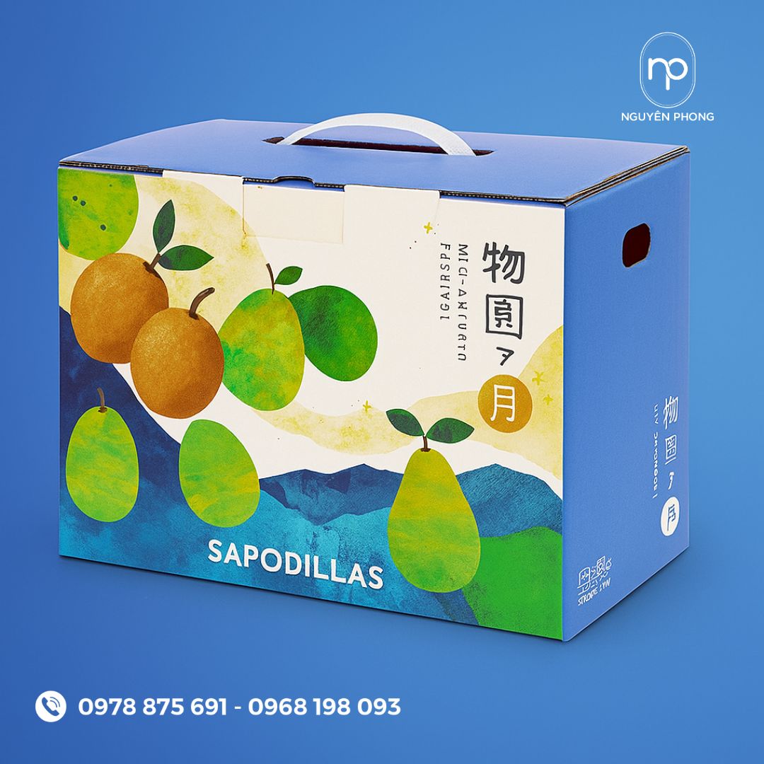Mẫu thùng carton đựng hồng xiêm 